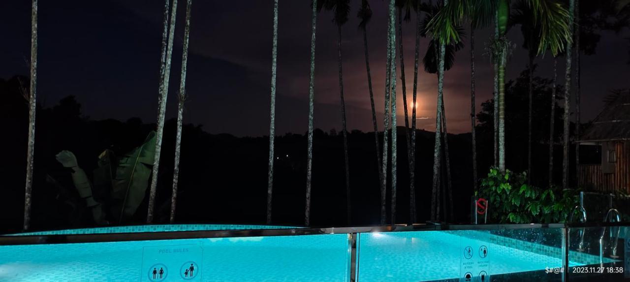 The Pool Villa Coorg マディケーリ エクステリア 写真