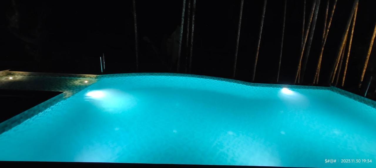 The Pool Villa Coorg マディケーリ エクステリア 写真